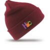 Harolds Cross Burgundy Children's Beanie